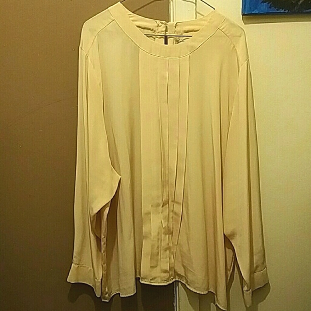 Pleated Blouse
